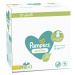 PAMPERS Sensitive vlhčené obrúsky Plastic Free 24 x 52 ks =