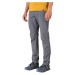 Men's Softshell Pants Hannah AVERY gray pinstripe