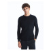 LC Waikiki Crew Neck Long Sleeve Men's Knitwear Sweater