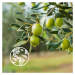 Le Petit Marseillais Olive Leaf Bio Organic osviežujúci sprchový gél