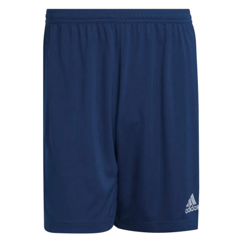 Pánske tréningové kraťasy Adidas