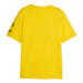 Borussia Dortmund pánske tričko FtblCore yellow
