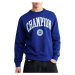 Champion Rochester Crewneck mikina M 219839.BS559 muži