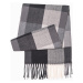 Ombre Men's scarf