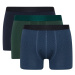 DEFACTO Regular Fit 3-Piece Boxer