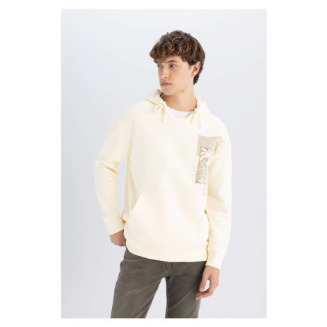 DEFACTO Boxy Fit Hooded Printed Kangaroo Pocket Sweatshirt