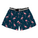 HORSEFEATHERS Trenírky Frazier - flamingos BLUE