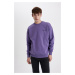 DEFACTO Oversize Fit Crew Neck Sweatshirt