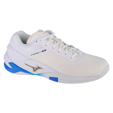 Pánske indoorové topánky Mizuno