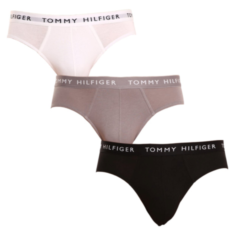 3PACK pánske slipy Tommy Hilfiger viacfarebné (UM0UM02206 0TG)