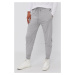 Nohavice Polo Ralph Lauren pánske,šedá farba,jednofarebné,714844763001