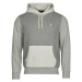 Polo Ralph Lauren  SWEATSHIRT CAPUCHE EN MOLLETON COLOBLOCK  Mikiny Šedá