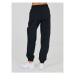 Athlecia Teplákové nohavice Hero W Track Pants EA233336 Čierna Regular Fit