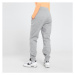 Nike Nohavice  W Nsw Phnx Flc Hr Pant Std