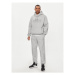 Adidas Mikina All Szn Fleece Graphic IW1205 Sivá Loose Fit