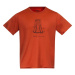 Men's T-shirt Bergans Graphic Wool Brick