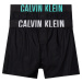 Calvin Klein 2 PACK - pánske trenírky NB3833A-MVL M