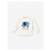 LC Waikiki Crew Neck Long Sleeve Printed Baby Boy T-Shirt