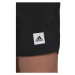adidas SOLID CLX SH SL Pánske plavecké šortky, čierna, veľkosť