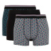 DEFACTO Regular Fit 3-Piece Boxer