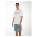 Men's Protest Shorts PACKWOOD