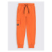 Coccodrillo Teplákové nohavice ZC2120103TRK Oranžová Regular Fit
