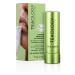 Teaology TEA Lip Balm balzam na pery 4 g, Matcha Tea