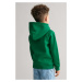 MIKINA GANT ARCHIVE SHIELD RAGLAN HOODIE WILD GREEN