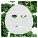 Garnier Skin Naturals Ampoule Sheet Mask plátenná maska s čistiacim a osviežujúcim účinkom