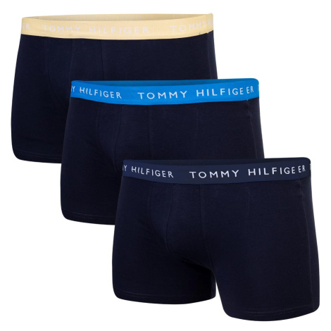 Tommy Hilfiger Man's Underpants UM0UM023240X0 Navy Blue