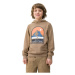 Chlapčenská turistická mikina s kapucňou 4F JUNIOR SWEATSHIRT-4FJWSS24TSWSM0933-81S-BROWN