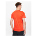 Dynafit Funkčné tričko Traverse 2 08-70670 Oranžová Regular Fit