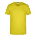 James&amp;Nicholson Pánske tričko JN912 Yellow