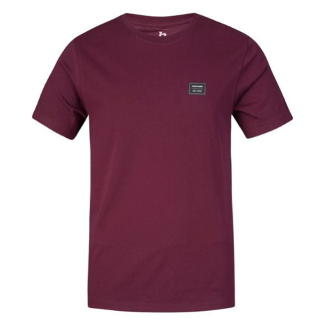 Men's short-sleeved T-shirt Hannah ALSEK II fig