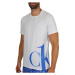 Pánske tričko NM1904E - C66 Kráľovská modrá - Calvin Klein Královská modř