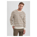 DEFACTO Standard Fit Patterned Crew Neck Sweater