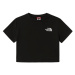 The North Face W Crop T