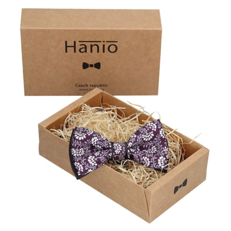 Pánske motýliky Hanio
