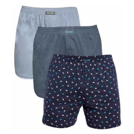 Pánska spodná bielizeň Cornette