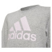 Dívčí mikina Big Logo Jr model 17986557 - ADIDAS