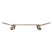 Skateboard Crandon 8,25" Chain