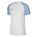 Pánske Nike Dri-FIT Academy Jsy SS M DH8031 102