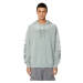 Diesel Mikina - S-UMMER-E6 SWEAT-SHIRT sivá