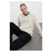 Trendyol Stone Oversize/Wide Cut Letter Printed Polo Neck Sweatshirt