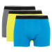 DEFACTO Regular Fit 3-pack Boxer