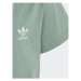 Adidas Tričko Adicolor T-Shirt IB9906 Zelená Regular Fit