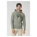 Picture d&s bear branch hoodie