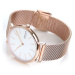 Skagen Signatur Slim SKW2784