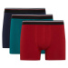 DEFACTO Regular Fit 3-Pack Boxer