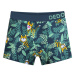 Dedoles unisex chlapčenské boxerky Tiger kids